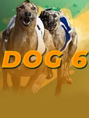 Dog 6