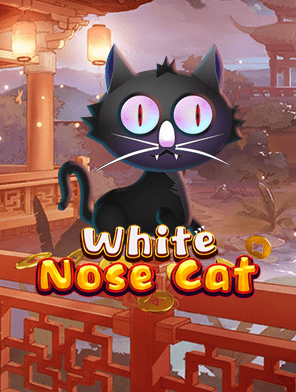 White Nose Cat